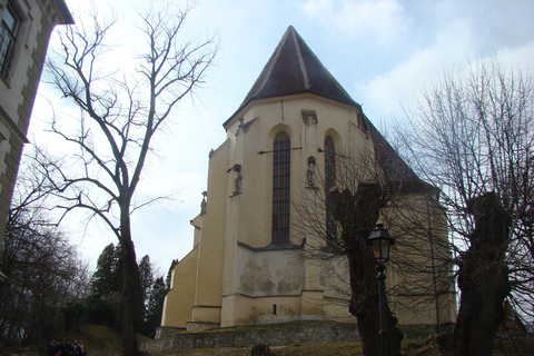 Brasov: Sighisoara Day Trip with Walking Tour