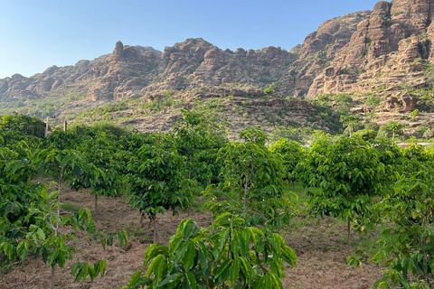 From Abha or Jazan: 3-Day AlReeth Adventure with Camping