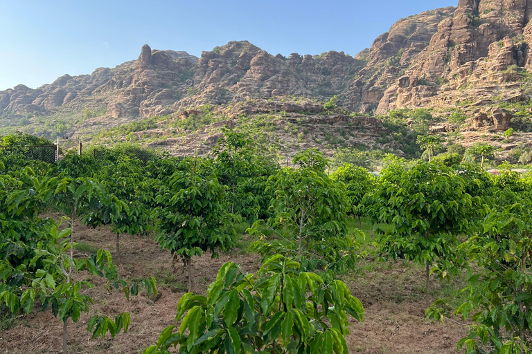 From Abha or Jazan: 3-Day AlReeth Adventure with Camping