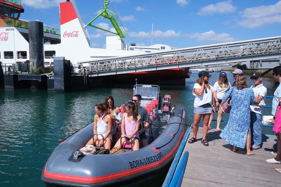 Setúbal : Tour En Bateau Pour L'observation Des Dauphins | GetYourGuide