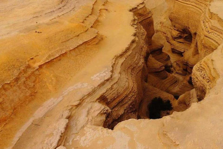 Depuis Ica : Journée complète au Canyon des Perdus