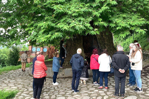 From Tbilisi: Kakheti Wine, Culture & Sighnaghi Group Tour