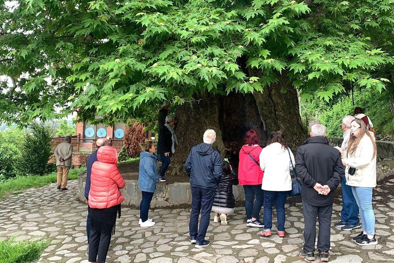 From Tbilisi: Kakheti Wine, Culture & Sighnaghi Group Tour