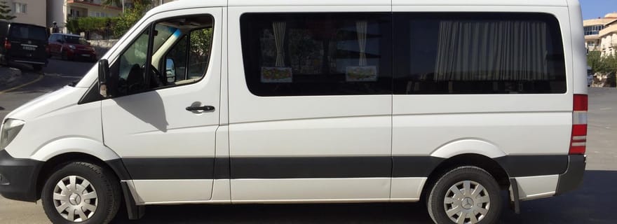 Transfert de l'aéroport de Denizli à Pamukkale (privé)