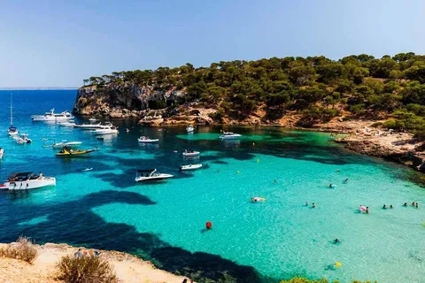 SUP & Snorkelupplevelse: Playa / Cueva de Portal Vells