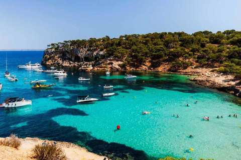 Mallorca Experience: Playa Portal Vells / Playa del Mago Tour Playa Portal Vells, Cueva Portal Vells y Playa del Mago