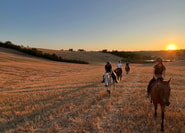 Siena: Reiten mit ...