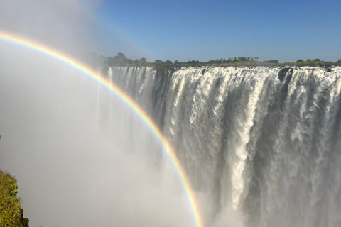 Victoria Falls: Guided Tour with Rainforest Walk