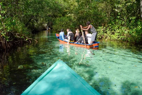 Punta Cana: Whale Watching, Cayo Levantado & Limón Waterfall