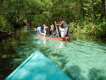 Punta Cana: Osservazione delle balene, Cayo Levantado e Cascata di Limón