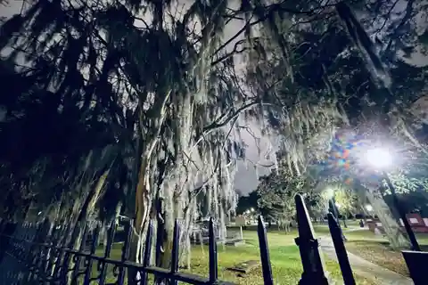 Jonathan's Original Savannah Haunted Pub Crawl