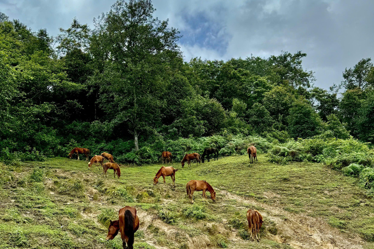 Sapa One-Day Trek: Reisterrassen und ethnische Dörfer