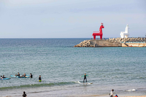 Jeju: UNESCO WestSouth & East Highlights 2 Days Combo Tour