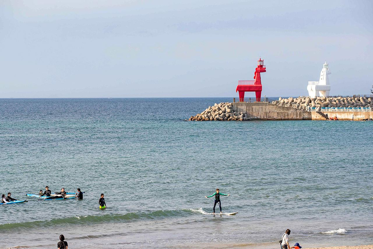 Jeju: UNESCO WestSouth & East Highlights 2 Days Combo Tour
