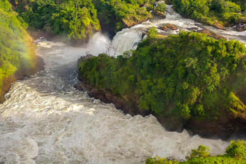 6-Day Kibale, Queen Elizabeth & Murchison Tour