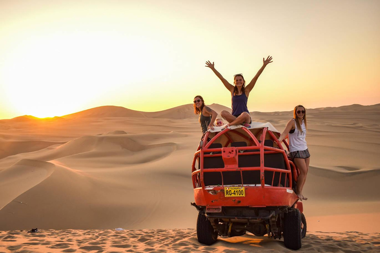 Depuis Lima : 1 journée Îles Ballestas + Oasis de Huacachina