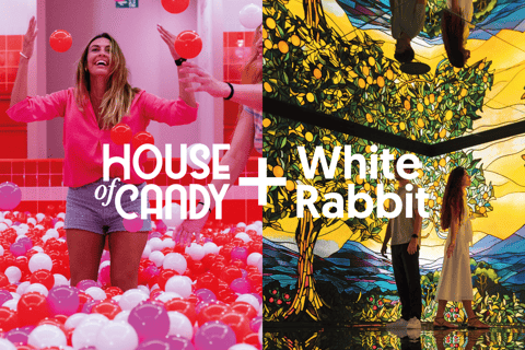 Barcelona Pass: White Rabbit & House of Candy Combo Ticket