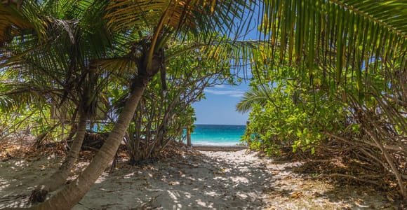 Praslin: Sister & Coco Islands Full-Day Cruise and Creole BBQ