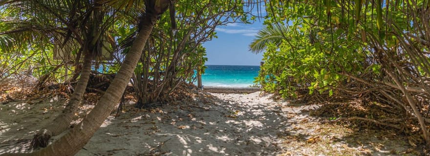 Praslin : croisière d'une journée à Sister & Coco Island et barbecue créole