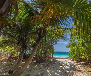 Praslin: Sister & Coco Island Full-Day Cruise and Creole BBQ