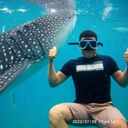 セブ：オスロブ ジンベイザメ、ツマログ滝、モアルボアル イワシ