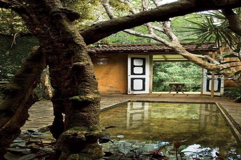 Tour di un giorno a Galle, Bentota e Madu River SafariPick up da Bentota Kalutara Kosgoda Ahungalla Balapitiya