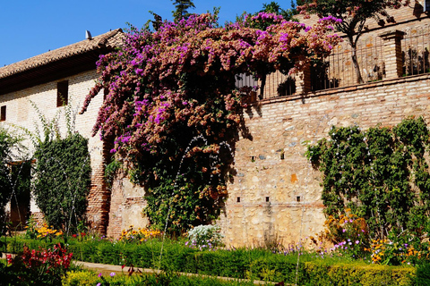 Alhambra z Sewilli: Alcazaba, Karol V i Generalife