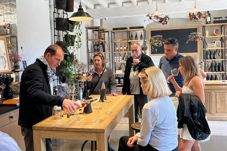 From Marseille: Wine and Scenery around Aix-en-Provence