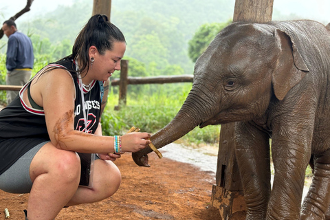 Chiang Mai: Excursión a Doi Inthanon y Santuario de ElefantesServicio de recogida del hotel