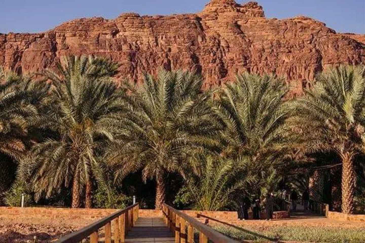 AlUla: Oasis Heritage Trail Tour - AlUla: Oasis Heritage Trail Tour