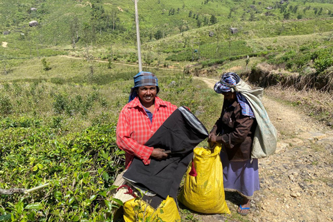 Tedo 7 Waterfalls Peak Adventure – Knuckles Mountain Range