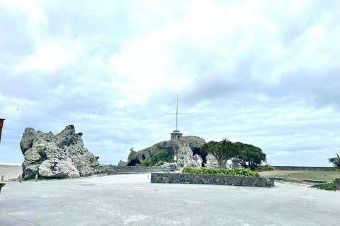 Christchurch City Top Spots Half Day Private Tour