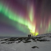 Abisko: tour en coche para ver la aurora con fotógrafo