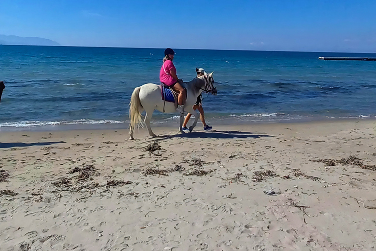 Kuşadası: VIP Horseback Riding and Sunset Beach Safari 3-Hour Sunset Forest & Village Safari