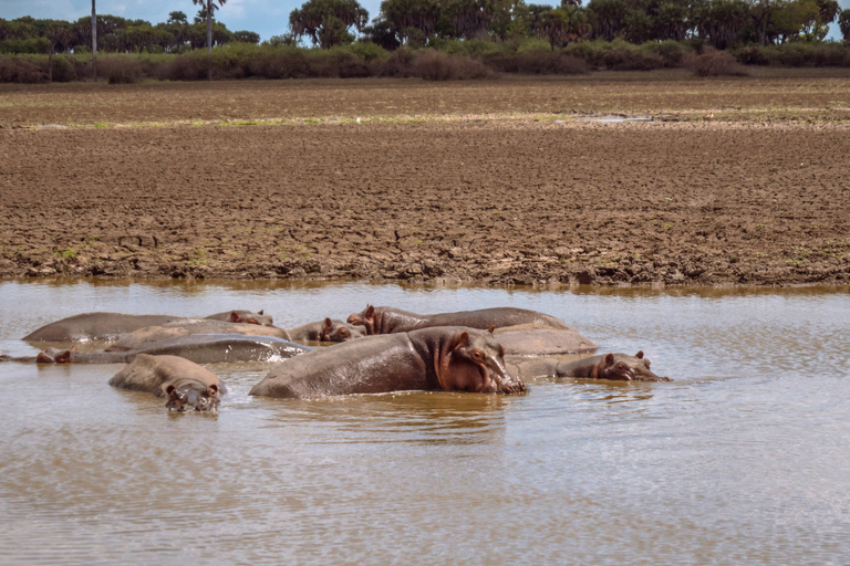 From Zanzibar: 2-Day Selous Safari with Flights & Lodge Stay 2-Day Selous Safari - Without Transfer