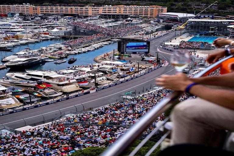 Monaco, Monte-Carlo & Eze Village Private Half-Day Tour LICENSED GUIDE + MERCEDES V