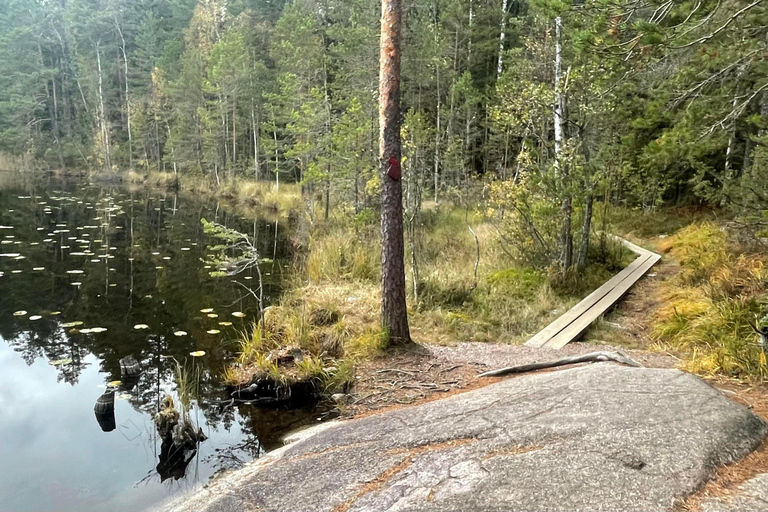 Helsingfors: Guidad tur med skogsbad i Noux nationalpark