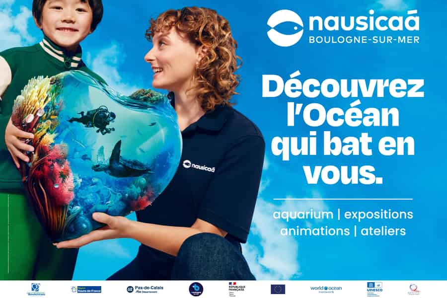 Nationales Meereszentrum Nausicaá: Full-Day Entry Ticket. Foto: GetYourGuide