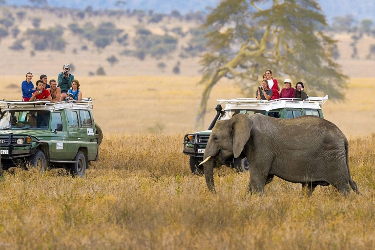 3 Tage Tansania-Safari in einem 4x4 Land Cruiser Jeep3 Tage Tansania-Safari