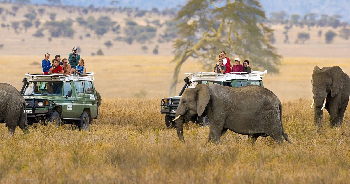 Afrikanische Wildnis Natur Kenia Parks Tage Jeep Getyourguide