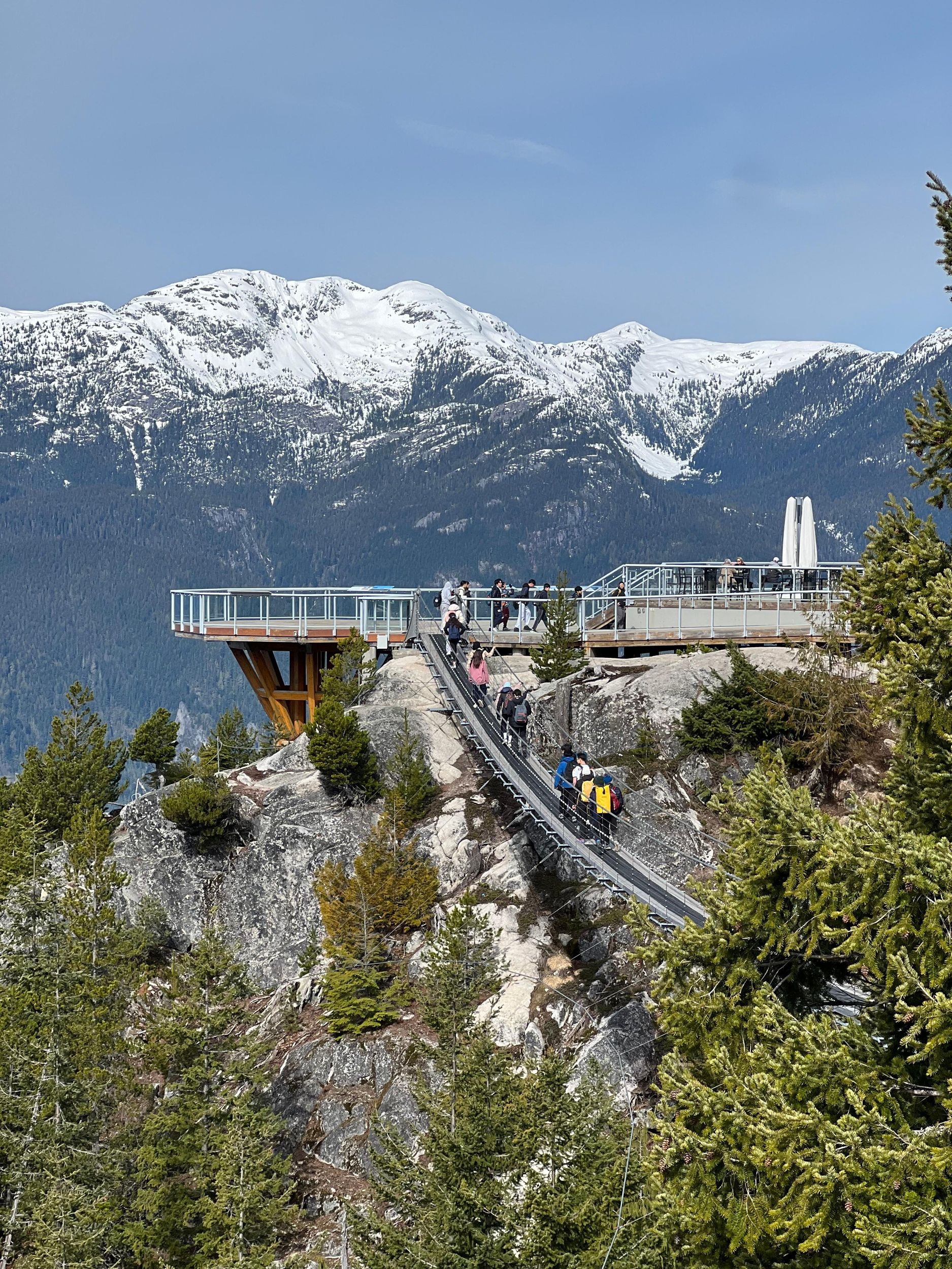 Begrenzte Kleingruppentour: Shannon Falls & Sea to Sky Gondola