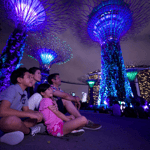 Singapore Twilights con crociera sul fiume e spettacoli di luce