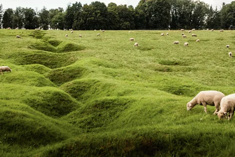 Från Paris: WWI Somme Battlefields med licensierad guide