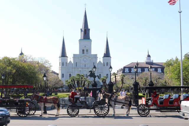 New Orleans: 2-stündige Stadtführung und Friedhofsbesichtigung mit dem Bus