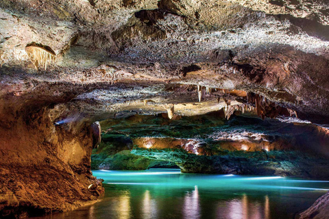 Valencia: Caves of San José - Private transportation in a small group (Max 4p) Valencia: San José Caves - Private transportation in a small group (Max 4p)