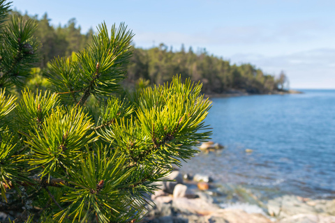 Depuis Helsinki : Visite guidée de la péninsule de Porkkalanniemi