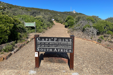Cape of Good Hope & African Penguins Small Group Tour