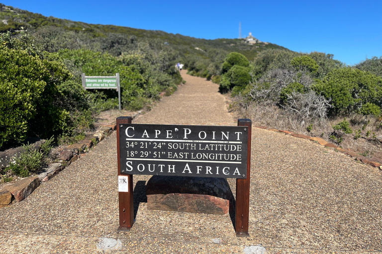 Cape of Good Hope & African Penguins Small Group Tour
