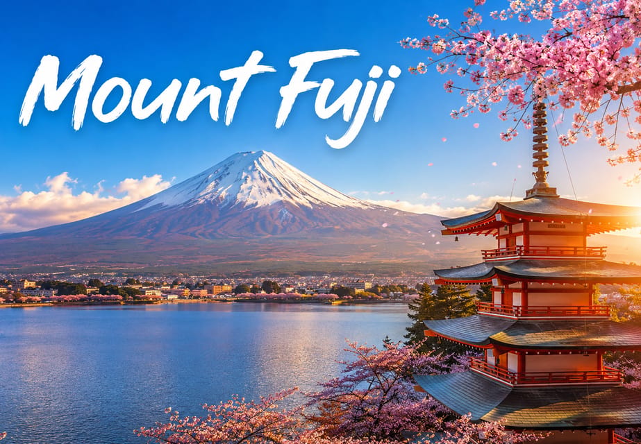 富士山＆箱根 プライベート日帰りツアー（ボートツアー付き）