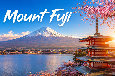 Mt Fuji Private Luxury Full-Day Tour with customization